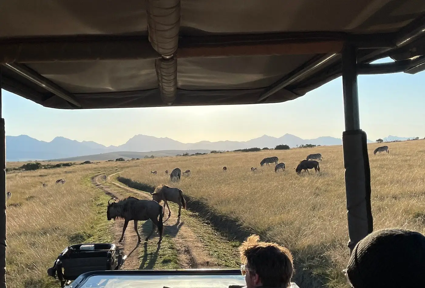 Our guests from Glasgow enjoying a luxury safari experience with stunning game drives, warm hospitality, delicious food, and exceptional lodge staff.